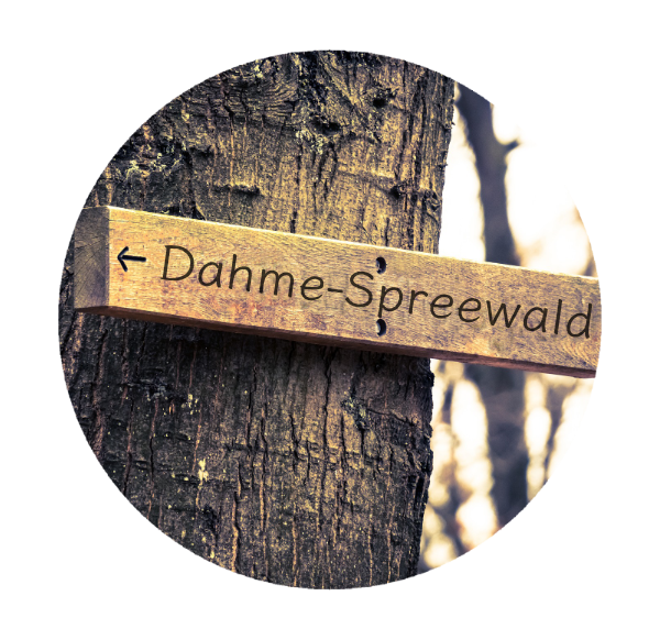 Immobilienmakler Dahme-Spreewald LDS - Wegweiser