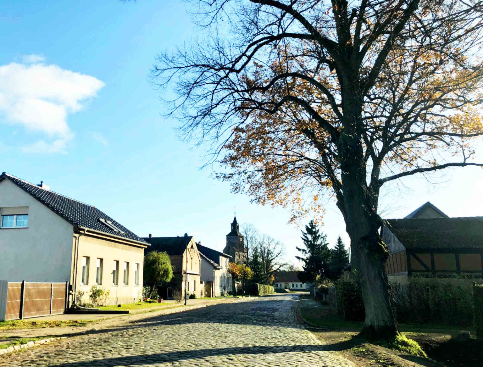 Immobilienmakler Löwenberger Land 16775 Tilo Grahlmann Immobilien