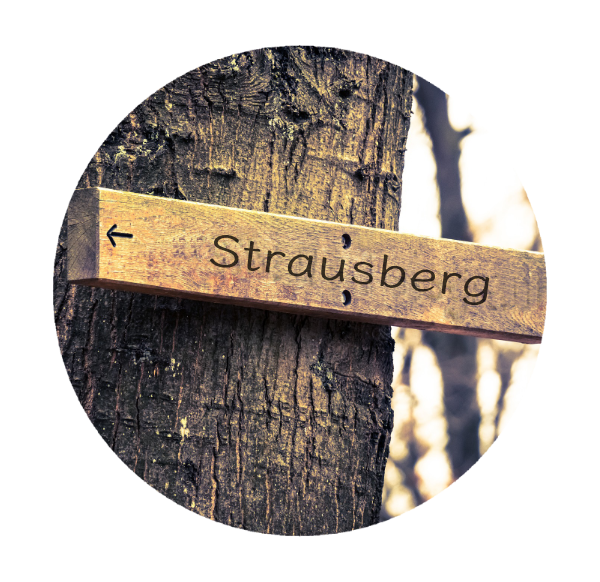 Makler Strausberg 15344: Wegweiser