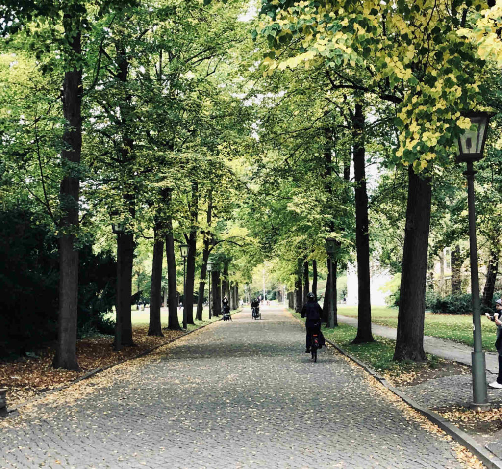 Makler Niederschönhausen: Weg im Schlosspark
