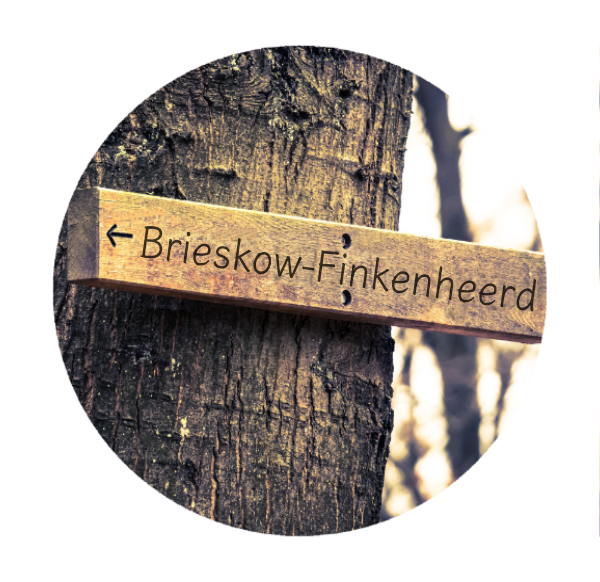 Makler Brieskow-Finkenheerd - Wegweiser