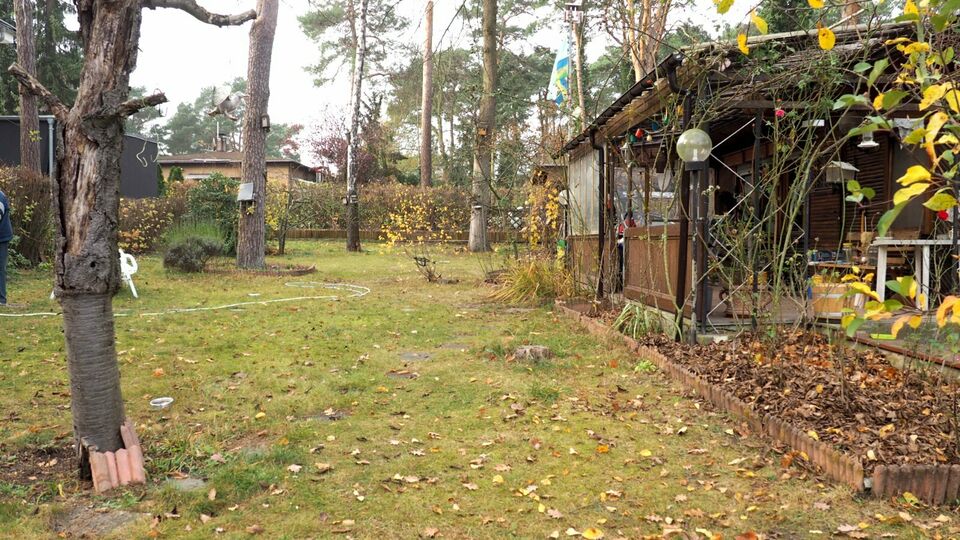 grundsturck rangsdorf-15834